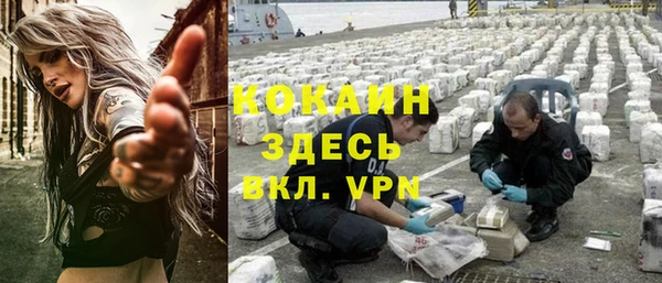 дмт Алексин