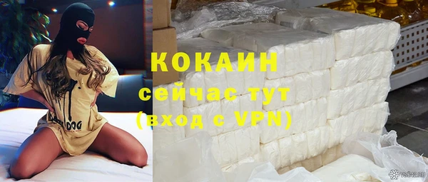 шишки Саяногорск