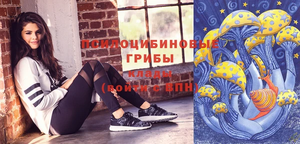 гашик Алзамай