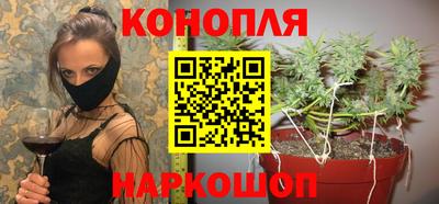гидра Тулун