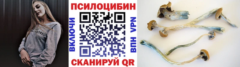 Галлюциногенные грибы мухоморы Амурск