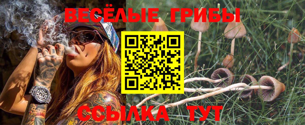 где найти   Вход с VPN  Амурск  Псилоцибиновые грибы MAGIC MUSHROOMS  Псилоцибиновые грибы ЛСД 