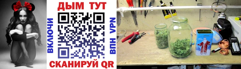 где продают наркотики  ОМГ ОМГ tor  Шишки марихуана конопля  shop телеграм  Амурск 